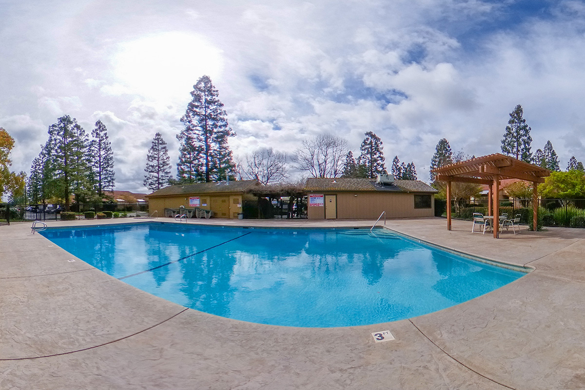 Pine Tree Village Apartments Photo Gallery